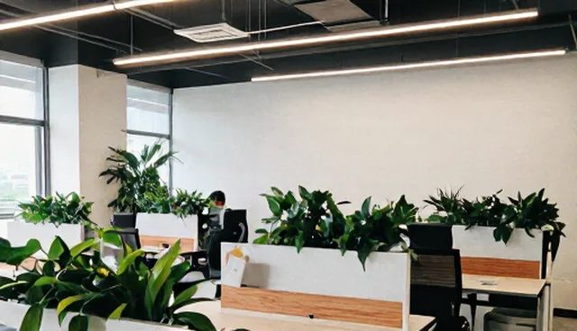 网络SEO优化适用条件与实际环节分析
