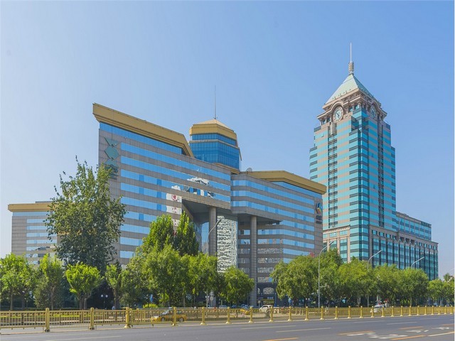 石家庄苹果红梨树苗